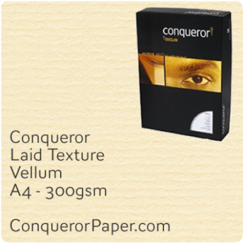 PAPER - Laid.10319C, TINT:Vellum, FINISH:Laid, PAPER:300gsm, SIZE:A4-210x297mm, QTY:100Sheets, WATERMARK:No